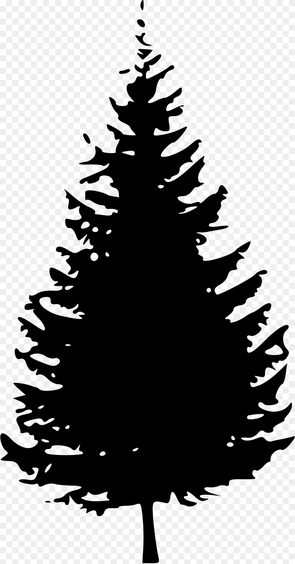 Trees Douglas Fir Evergreen Tree Silhouette, Gray Free Transparent Png