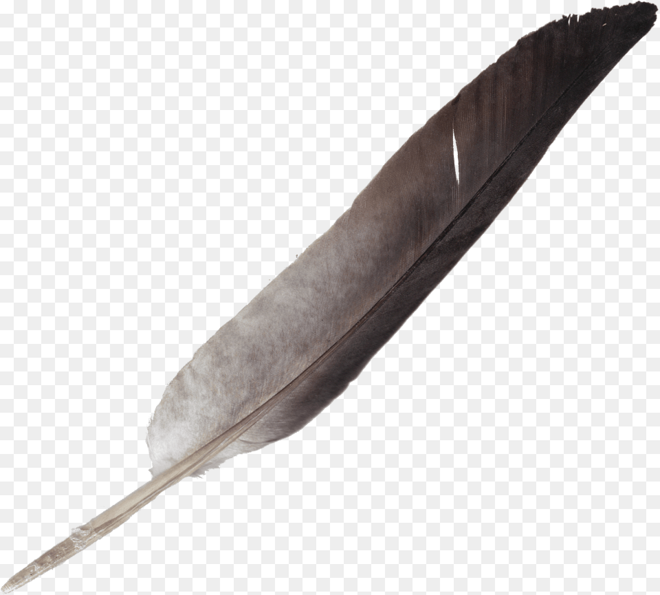 Transparent Tribal Feather Transparent Background Feather Pen, Bottle, Blade, Dagger, Knife Png