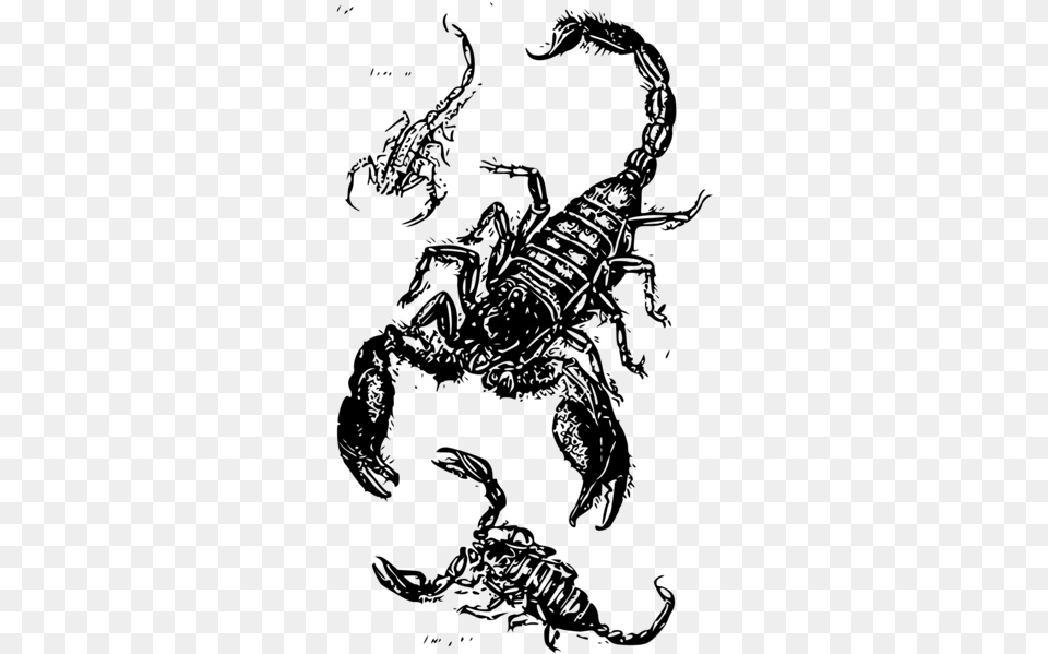 Tribal Scorpion, Gray Free Transparent Png