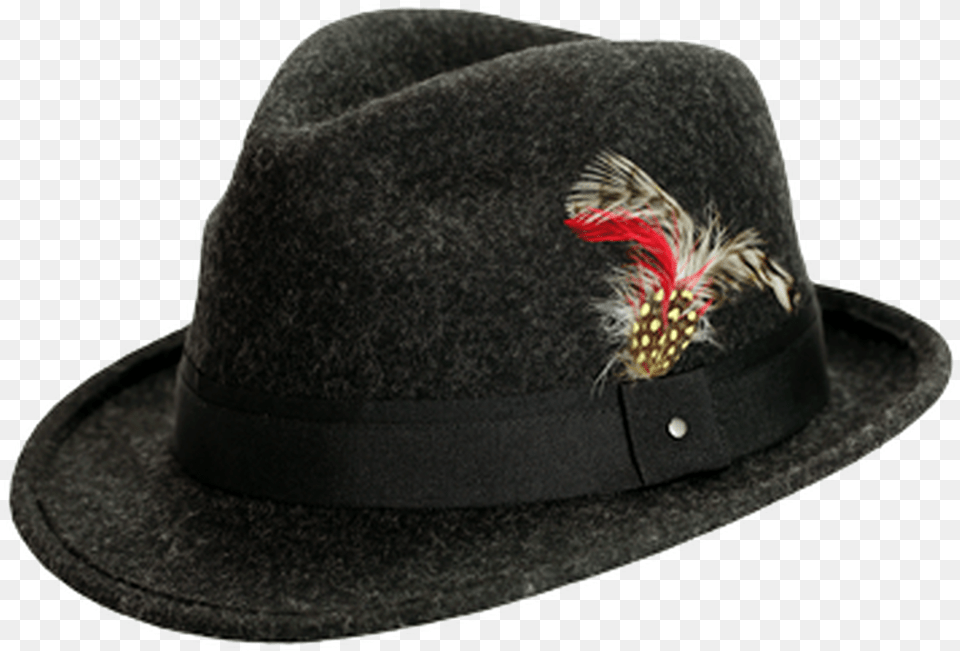 Trilby Fedora, Clothing, Hat, Sun Hat, Cowboy Hat Free Transparent Png