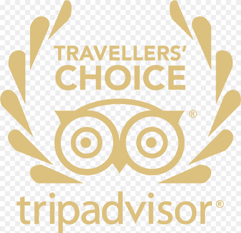 Transparent Trip Advisor Logo Trip Advisor, Advertisement, Poster, Bulldozer, Machine Free Png Download