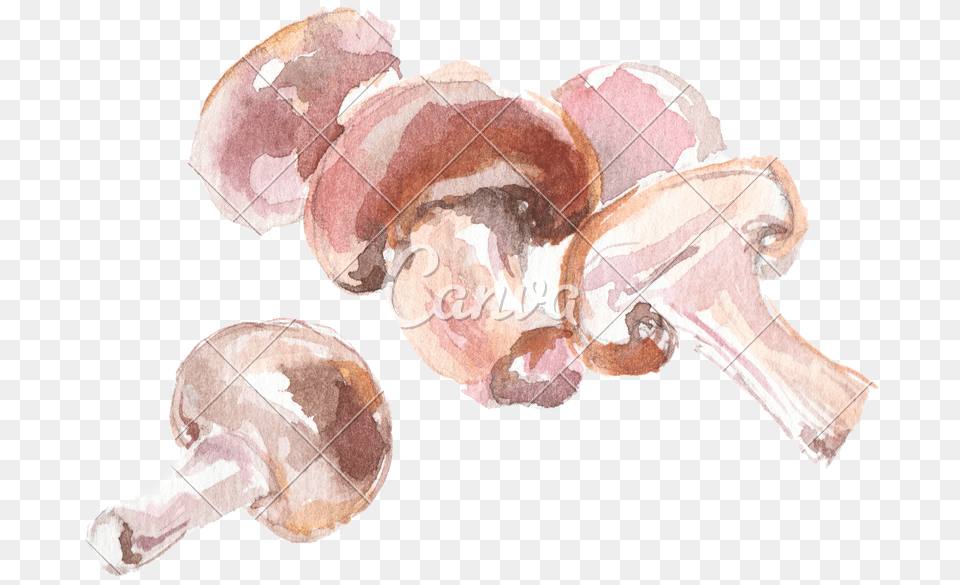 Transparent Trippy Mushroom Watercolor Painting, Food, Meat, Pork, Mutton Png
