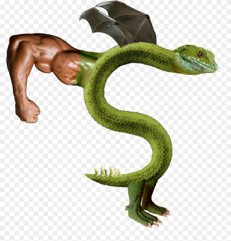 Transparent Trogdor Trogdor Hd, Animal, Reptile, Snake Png Image