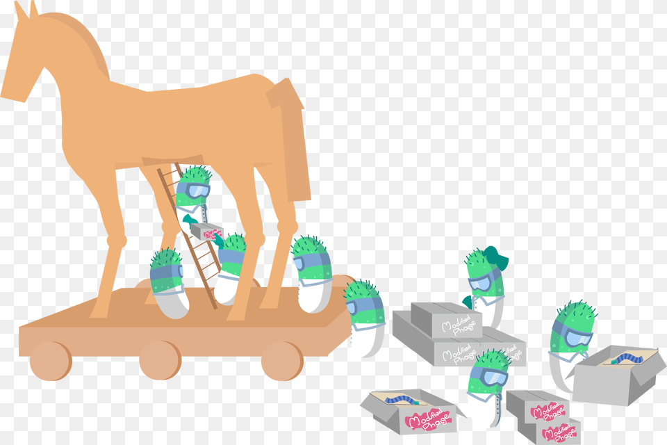 Transparent Trojan Trojan Horse Cells Png Image