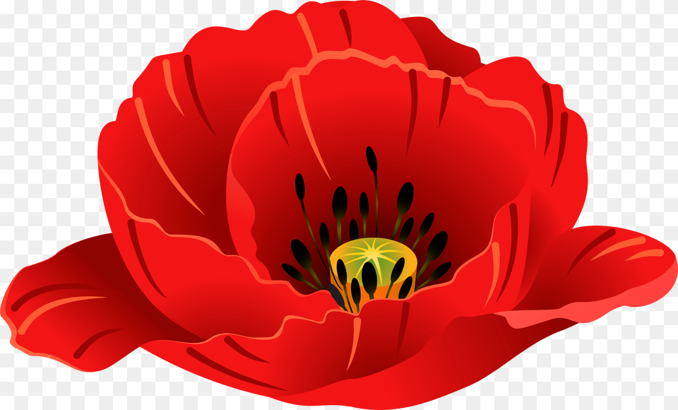 Transparent Trolls Poppy Poppy Single Flower Transparent Background, Anther, Petal, Plant, Person Free Png