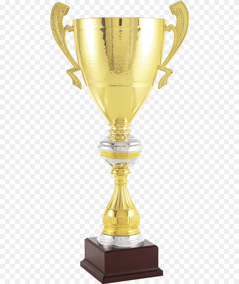 Transparent Trophy Cup Trophy Free Png