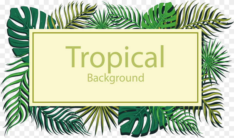 Transparent Tropical Background Clipart Leaves Background Title, Vegetation, Tree, Rainforest, Plant Png Image