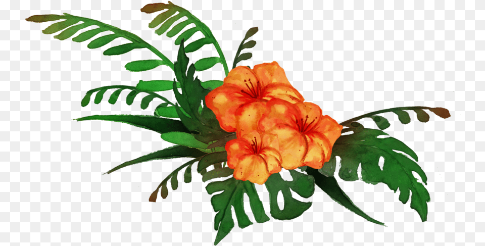 Transparent Tropical Clip Art Transparent Background Tropical Plants, Plant, Flower, Leaf, Graphics Free Png