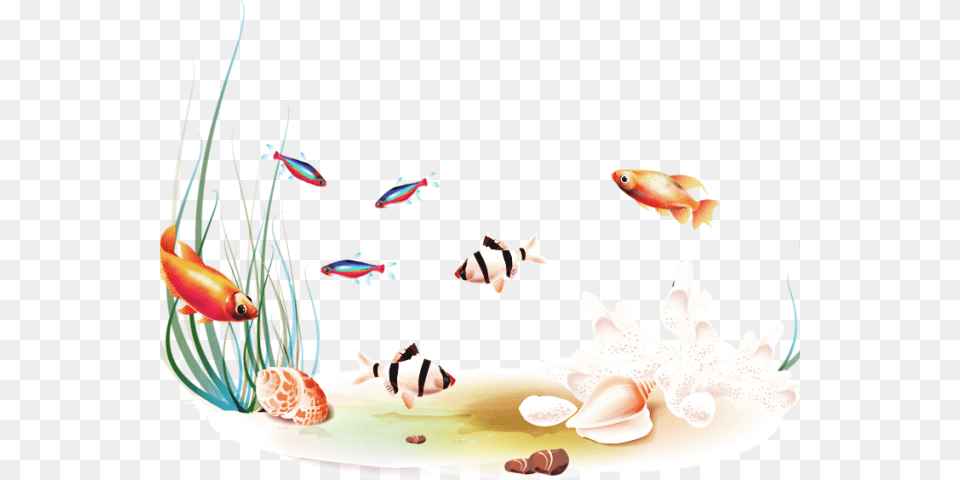 Transparent Tropical Fish Clipart Ceramic, Animal, Aquatic, Sea Life, Water Png