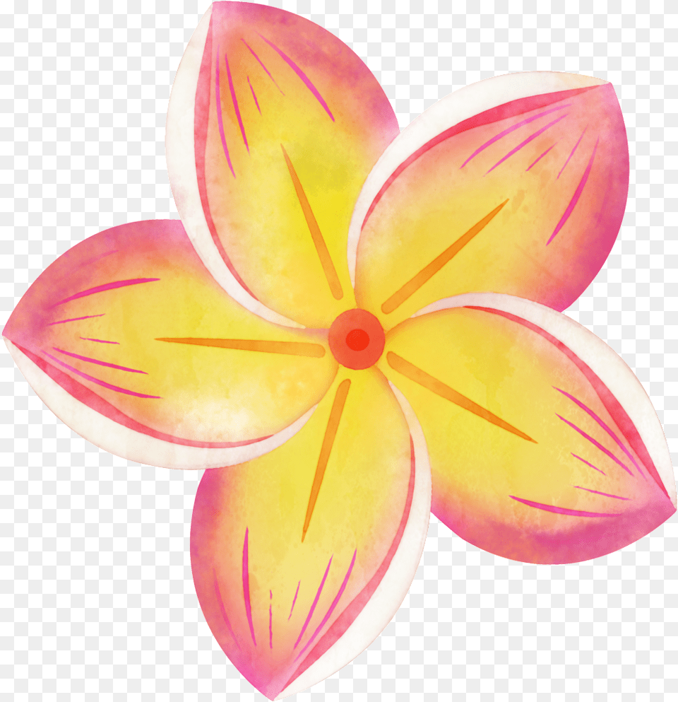 Tropical Flower Clip Art, Dahlia, Petal, Plant Free Transparent Png