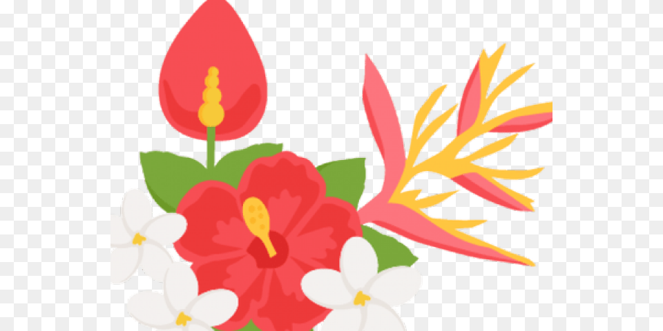 Transparent Tropical Flower Tropical Flower Clipart, Plant, Anther, Petal, Flower Arrangement Png