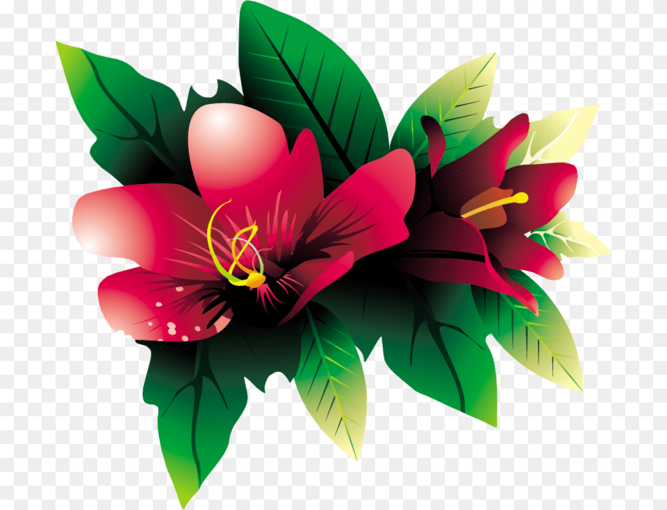 Transparent Tropical Flower Vector, Art, Graphics, Plant, Floral Design Free Png Download