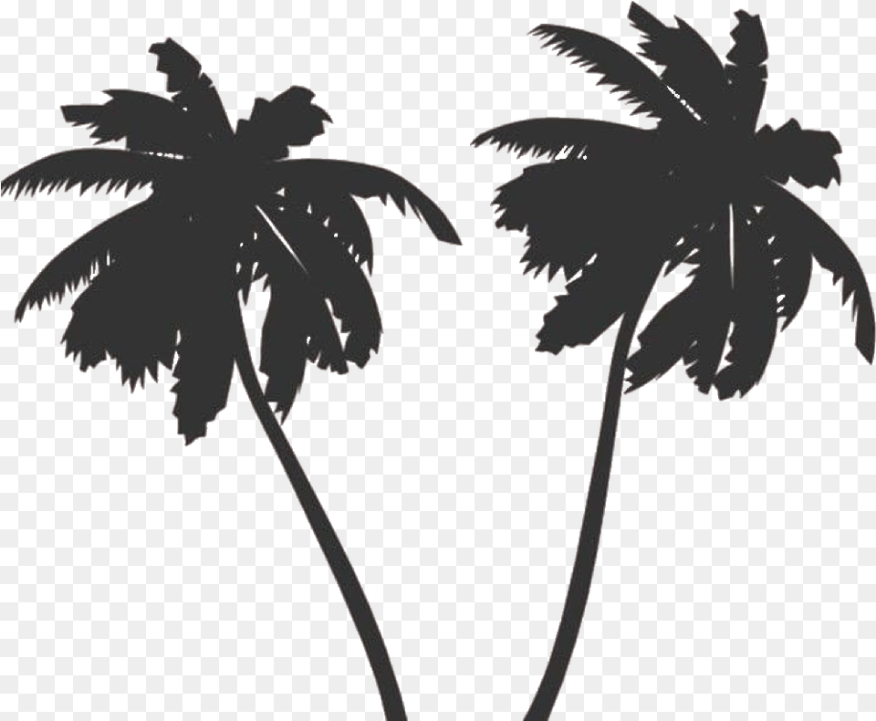 Transparent Tropical Island Clipart Black And White Palm Tree Vector, Palm Tree, Plant, Leaf, Animal Png