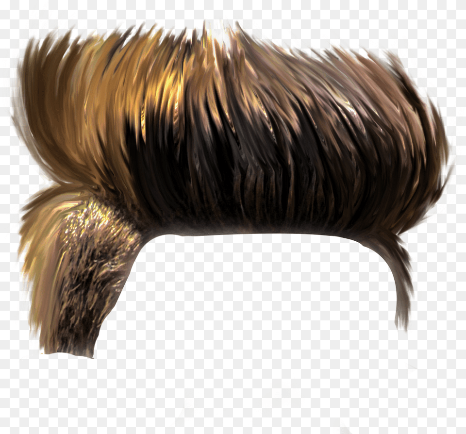 Transparent Trump Hair Boys Picsart Hairstyle, Person, Accessories Png