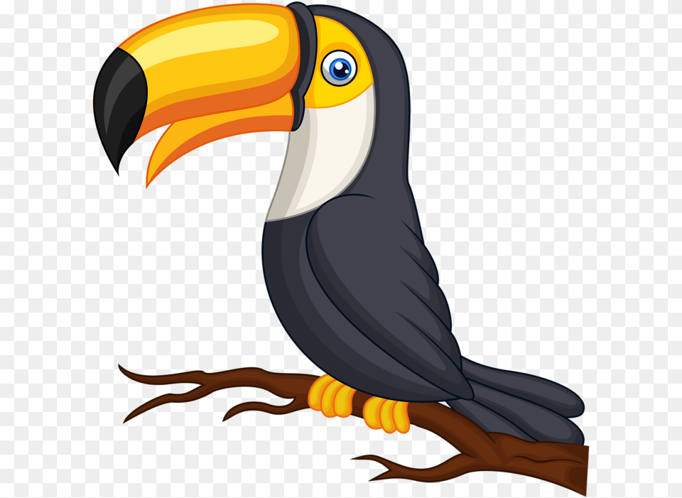 Transparent Tucan, Animal, Beak, Bird, Toucan Free Png