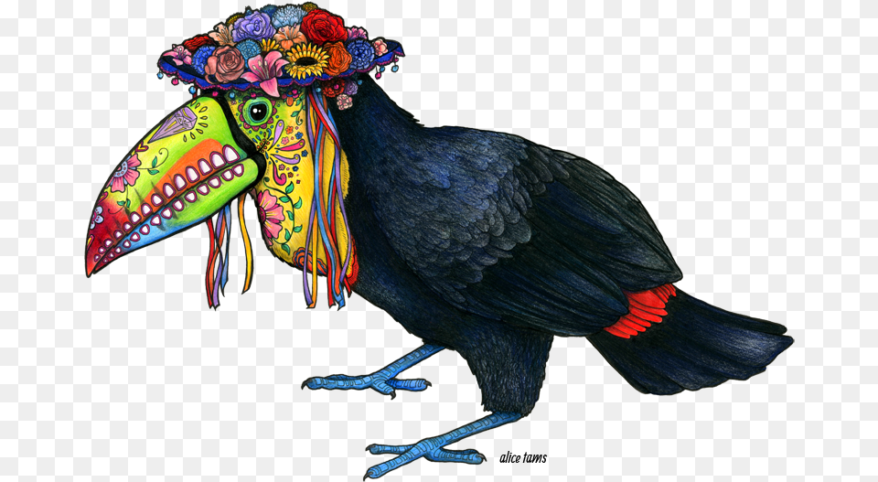 Tucan Day Of The Dead Toucan, Animal, Beak, Bird Free Transparent Png