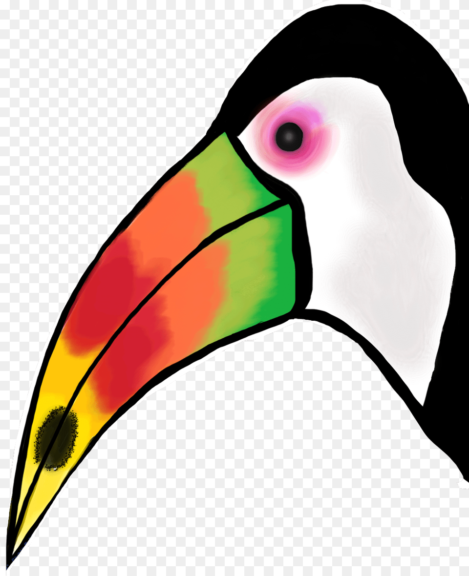 Tucan Toucan, Animal, Beak, Bird, Penguin Free Transparent Png