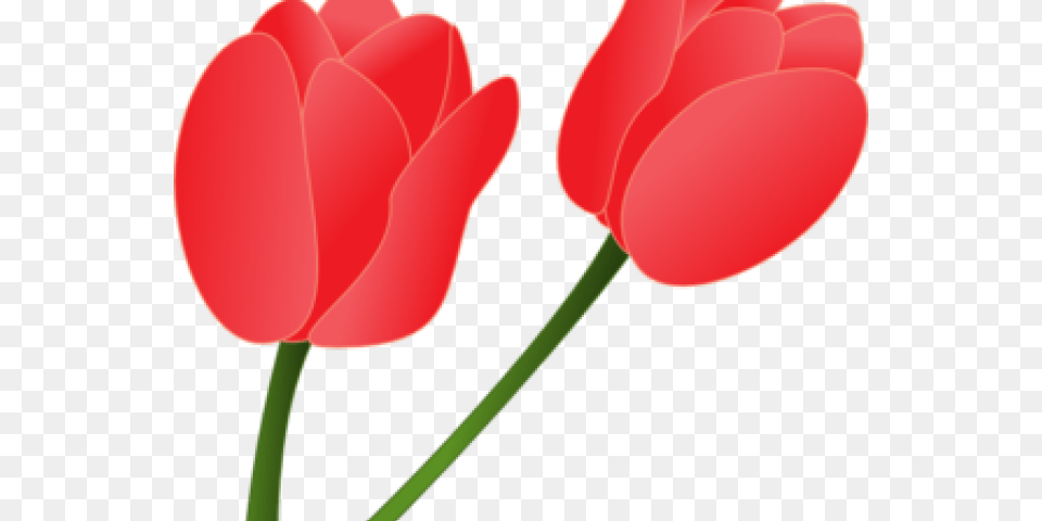 Tulips Tulip Cartoon, Flower, Plant, Petal, Food Free Transparent Png