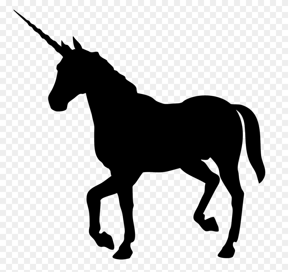 Transparent Tumblr Pictures, Silhouette, Animal, Mammal, Colt Horse Png