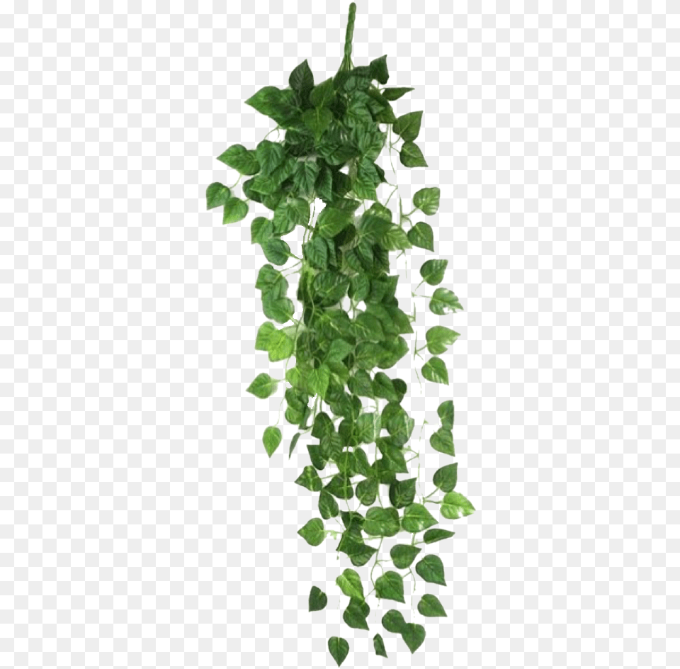 Tumblr Plant Plant Overlay, Vine, Ivy, Potted Plant, Leaf Free Transparent Png