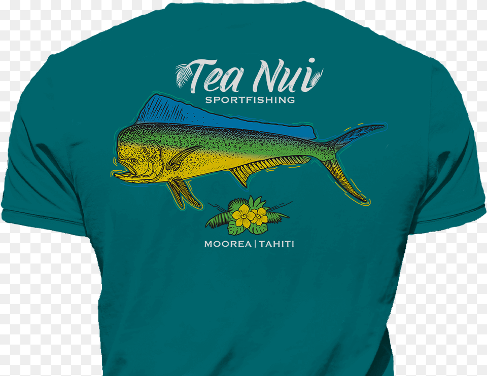 Transparent Tuna Fish Sailfish, Animal, Clothing, Sea Life, T-shirt Free Png Download