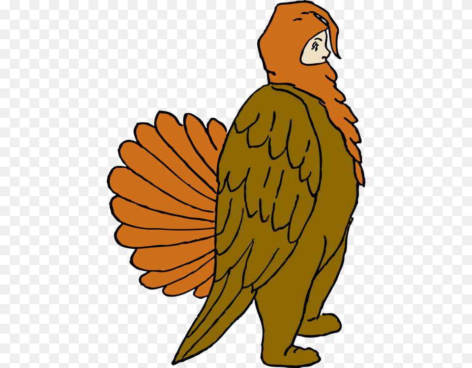 Transparent Turkey Cartoon Pavo De Disfraces, Animal, Bird, Vulture, Person Free Png