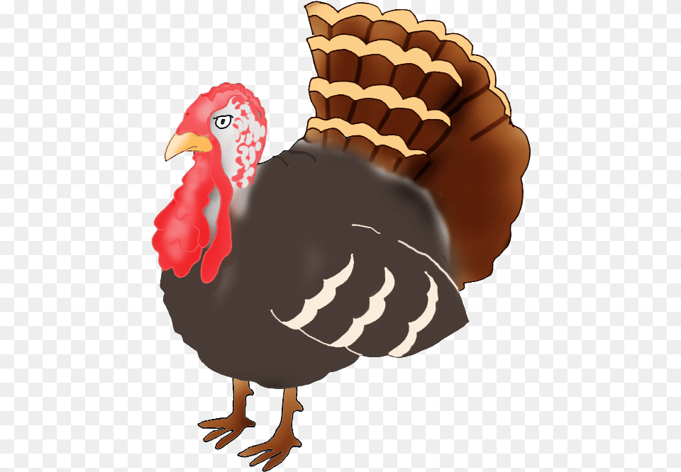Transparent Turkey Clipart Turkey Drawing, Animal, Bird, Fowl, Poultry Free Png Download