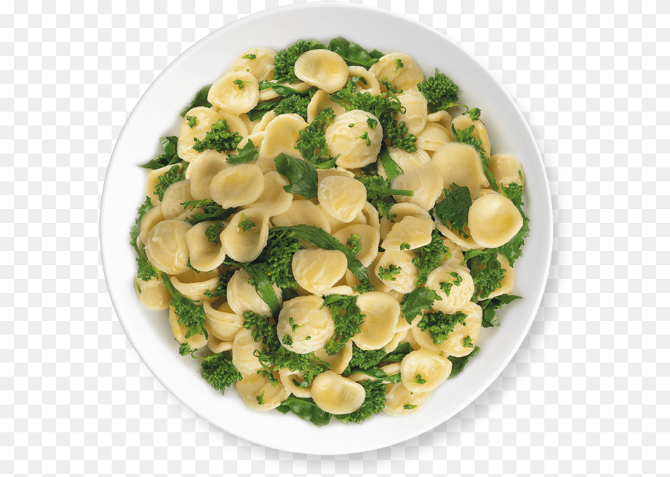 Transparent Turnip Orecchiette Cime Di Rapa, Food, Food Presentation, Pasta, Plate Free Png Download