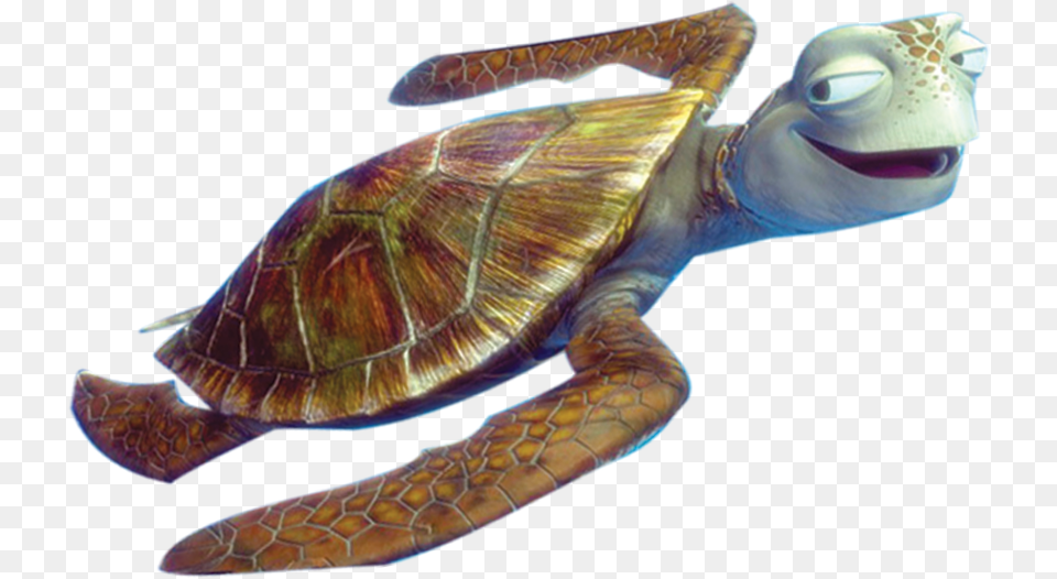 Transparent Turtle Cartoon Crush Turtle From Finding Nemo, Animal, Reptile, Sea Life, Sea Turtle Png