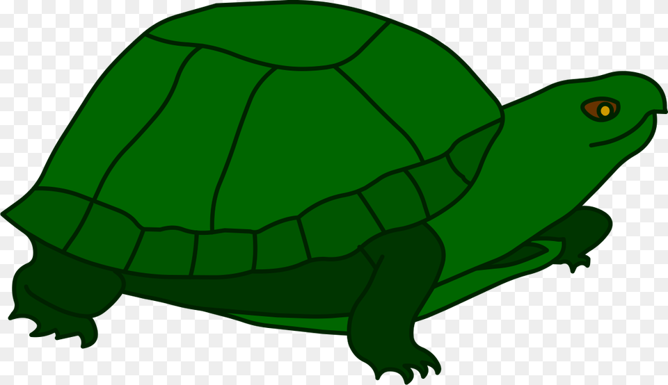 Transparent Turtle Clip Art Tortoise, Animal, Reptile, Sea Life, Box Turtle Png