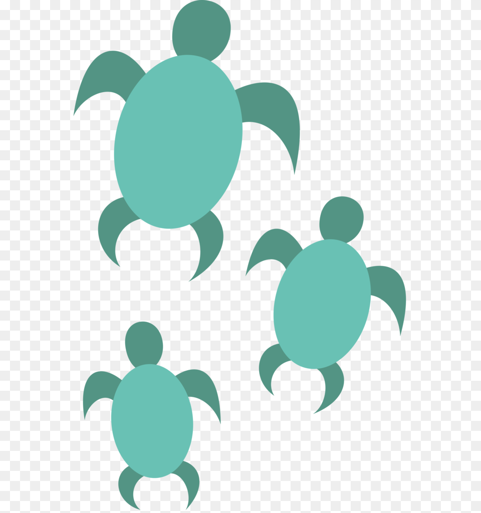 Transparent Turtle Clipart My Little Pony Sandbar Cutie Mark, Animal, Food, Seafood, Sea Life Free Png