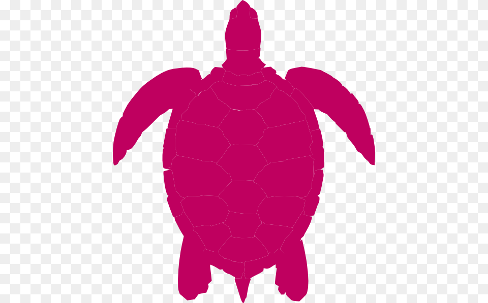 Turtle Silhouette Turtle Vector, Sea Turtle, Sea Life, Reptile, Animal Free Transparent Png