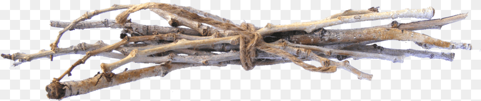 Transparent Twig Clipart Bundle Of Sticks, Wood Png