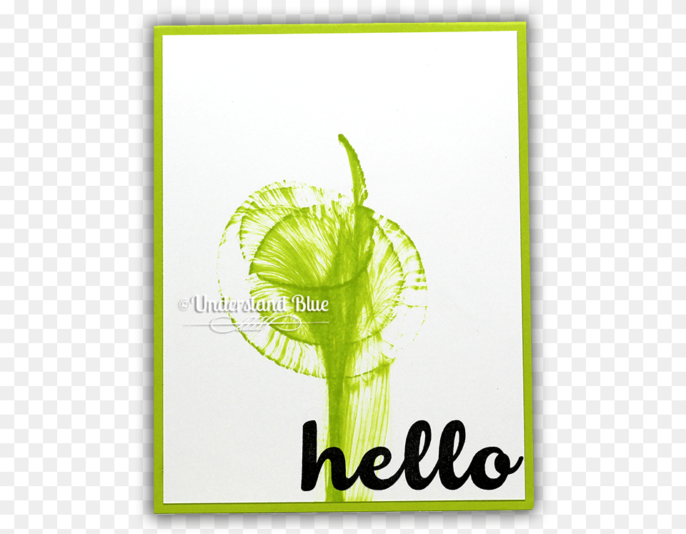 Transparent Twine String, Plant, Moss Png Image