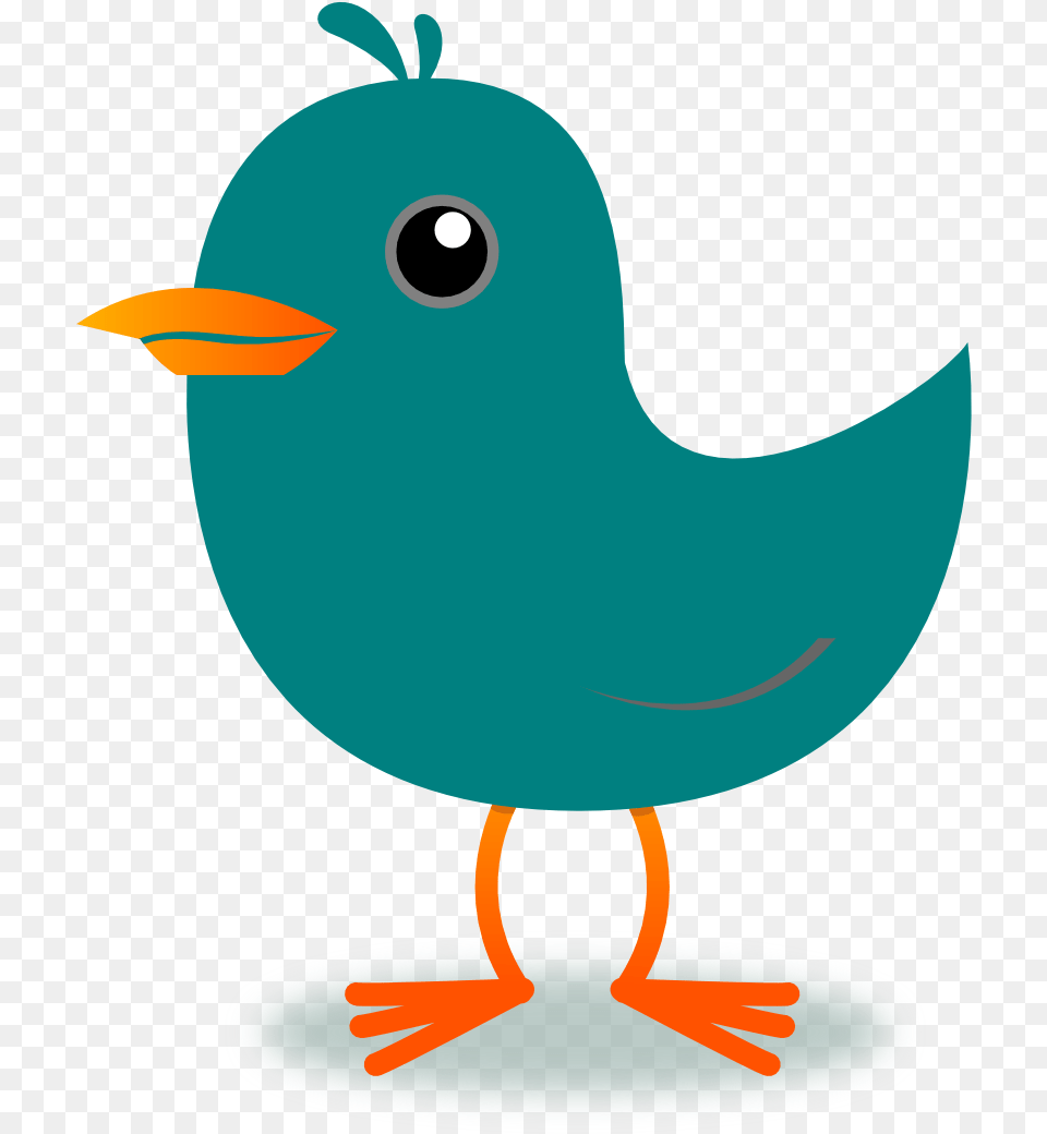 Transparent Twitter Bird Bird Cartoon Gif, Animal, Beak Free Png Download