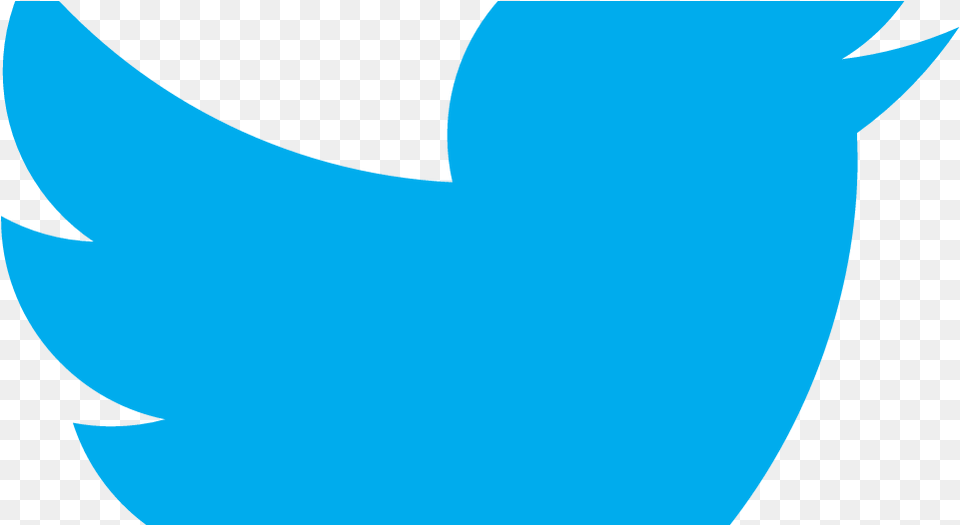 Transparent Twitter Bird Logo Transparent Twitter Logo In Only, Leaf, Plant, Electronics, Hardware Free Png