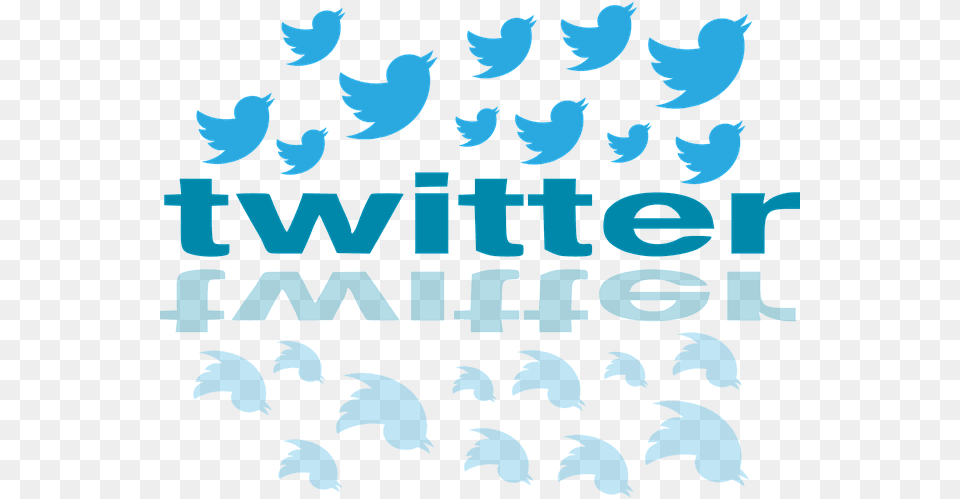 Twitter Bird Twitter Bird Shot, Pattern, Animal, Nature, Outdoors Free Transparent Png