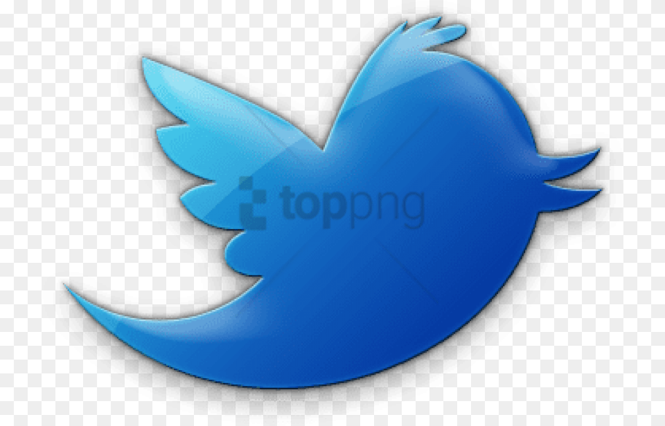 Twitter Logo Icon Social Media Icon Jelly, Animal, Bird, Jay, Fish Free Transparent Png
