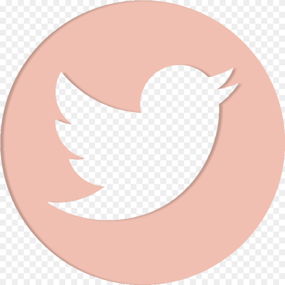 Transparent Twitter Logo Transparent Background Circle Transparent Background Twitter Logo, Animal, Bird, Blackbird, Astronomy Png Image