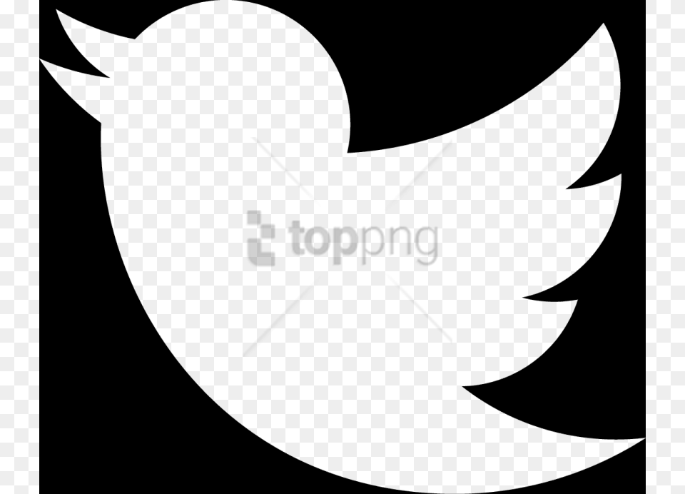 Twitter Logo White Image With Twitter Bird White Stencil, Animal, Fish, Sea Life Free Transparent Png