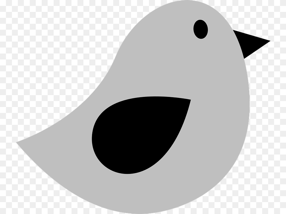 Transparent Twitter Vector, Disk, Animal, Beak, Bird Png