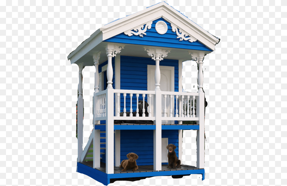 Transparent Two Story House Clipart 2 Story Small Dog House, Outdoors, Animal, Canine, Mammal Free Png Download