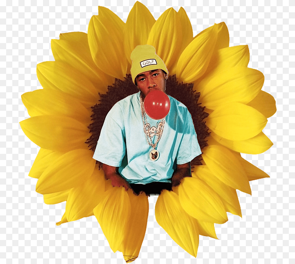 Transparent Tyler The Creator Sunflower, Flower, Plant, Adult, Person Free Png