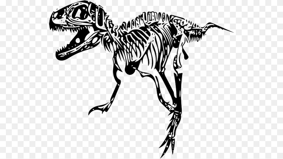 Transparent Tyrannosaurus Rex Clipart Transparent T Rex Skeleton, Person, Animal, Dinosaur, Reptile Png Image