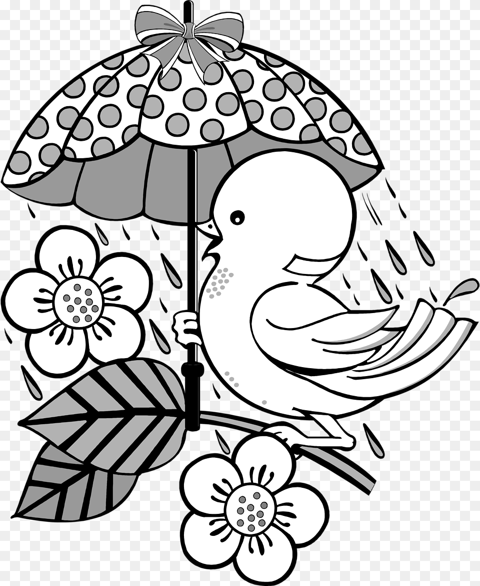 Transparent Umbrella Bird Clipart Outline Pictures For Glass Painting, Art, Face, Head, Person Free Png