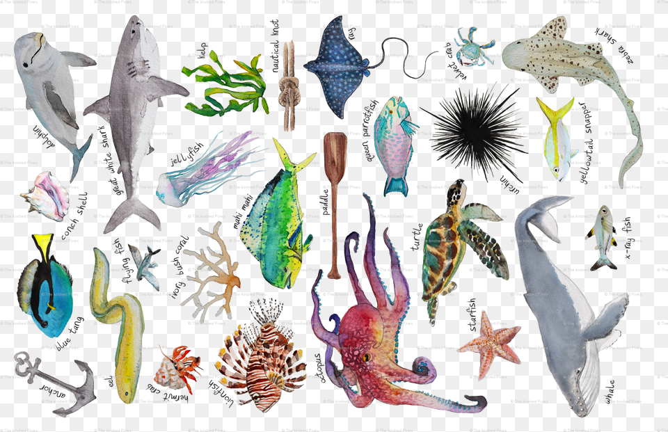 Transparent Under The Sea Border Clipart Coral Reef Fish, Animal, Reptile, Sea Life, Turtle Png Image