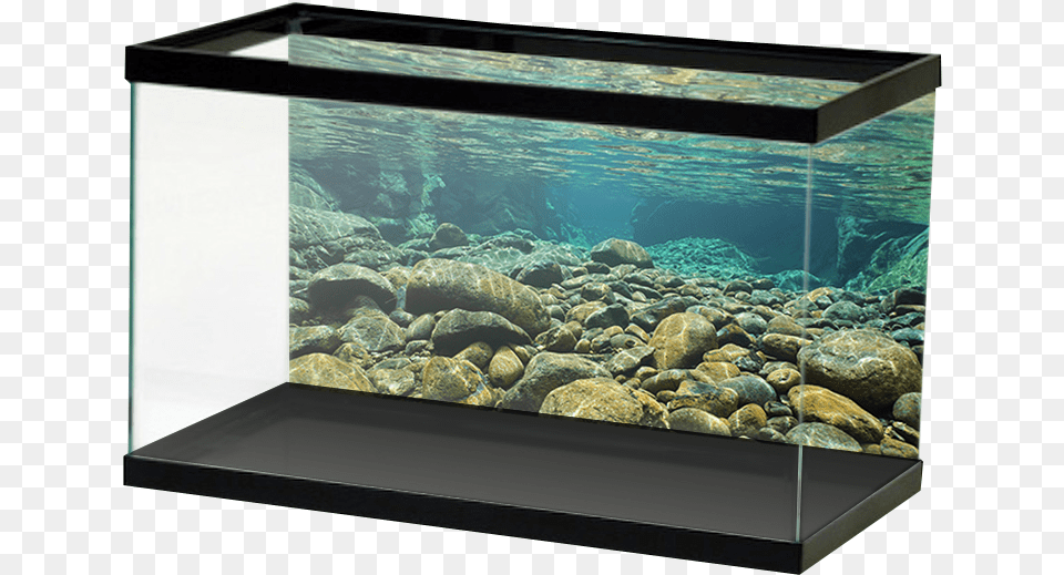 Transparent Underwater Underwater Rocks, Animal, Sea Life, Water, Fish Png