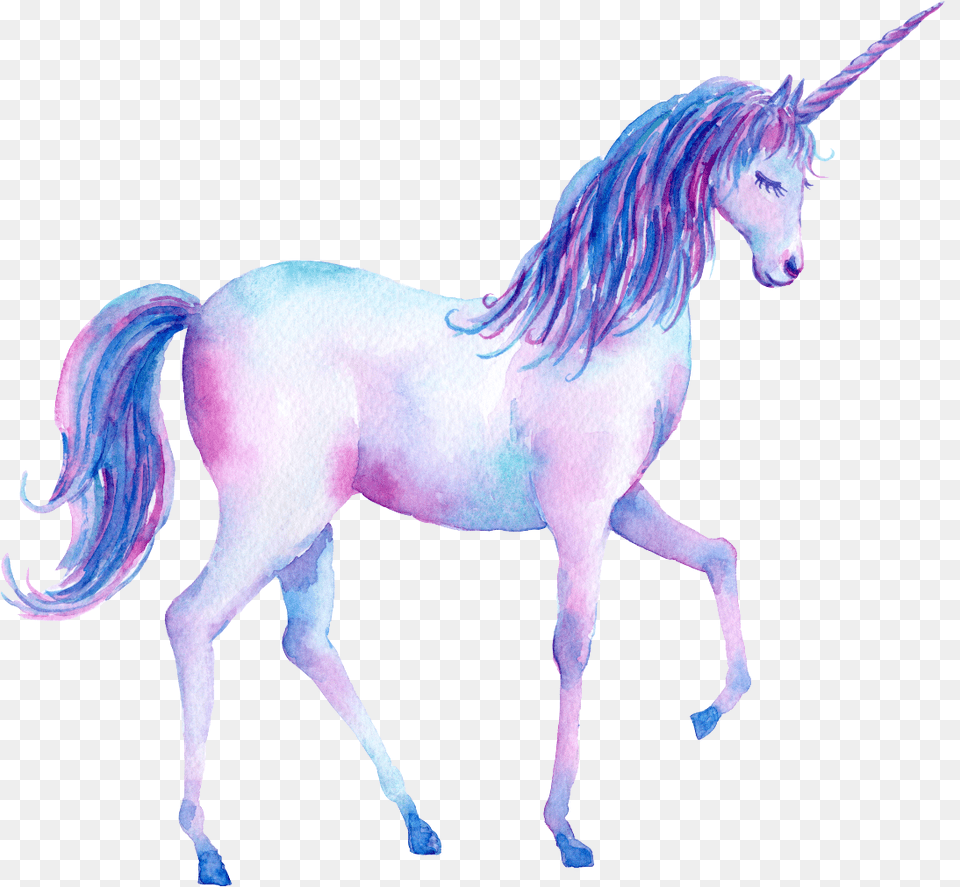 Unicorn Pink And Purple Unicorn, Animal, Horse, Mammal, Stallion Free Transparent Png