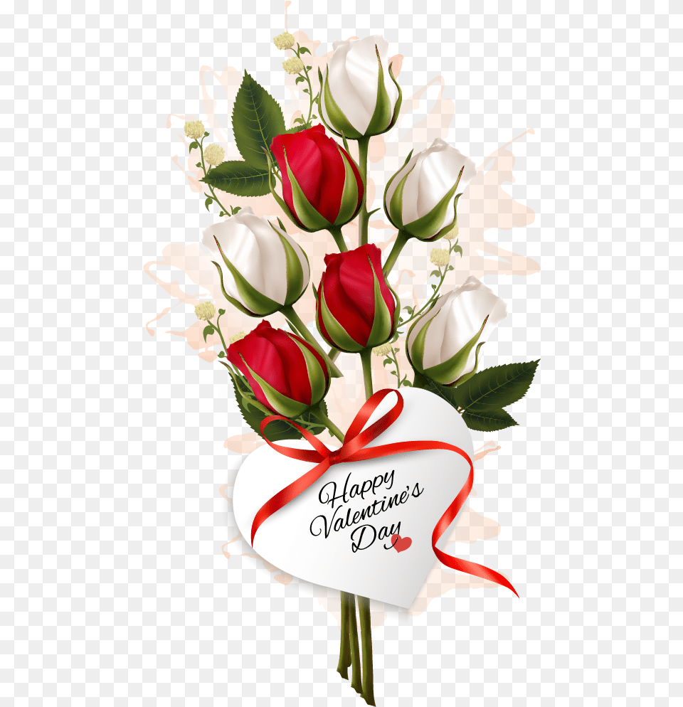 Valentine Clipart Happy Valentines Day White Roses, Flower, Flower Arrangement, Flower Bouquet, Plant Free Transparent Png