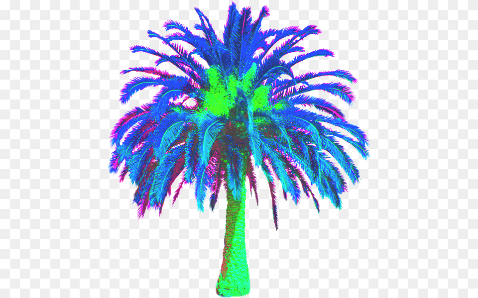 Transparent Vaporwave Palm Tree Date Palm Tree, Palm Tree, Plant Free Png Download